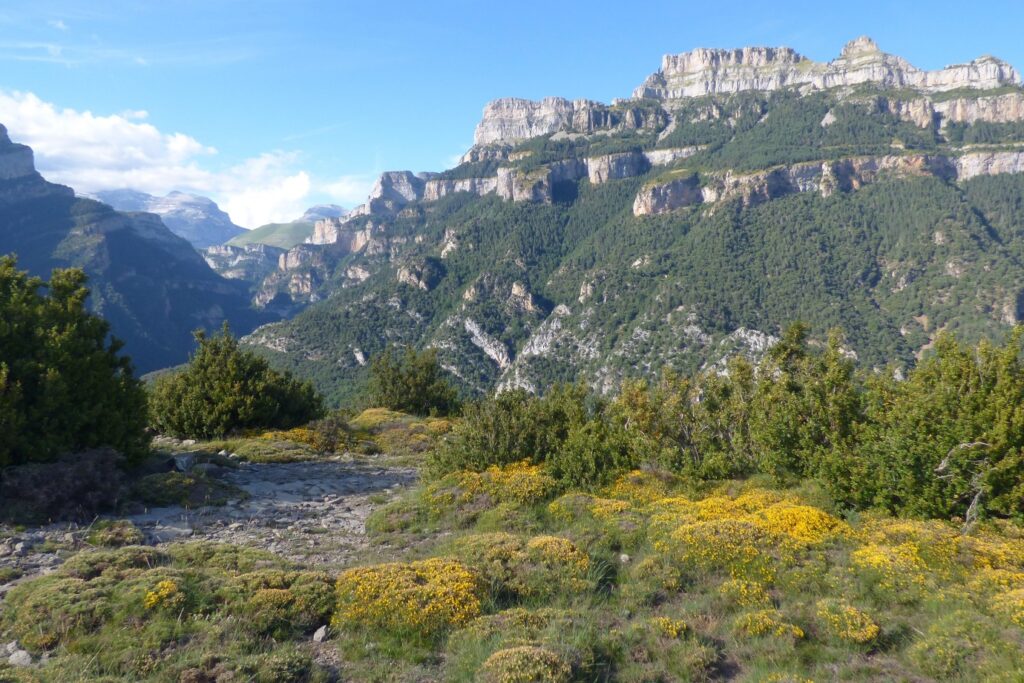 Paysage estival en Haut Aragon avec une plaine en premier plan et des sommets en arrière-plan