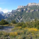 Paysage estival en Haut Aragon avec une plaine en premier plan et des sommets en arrière-plan