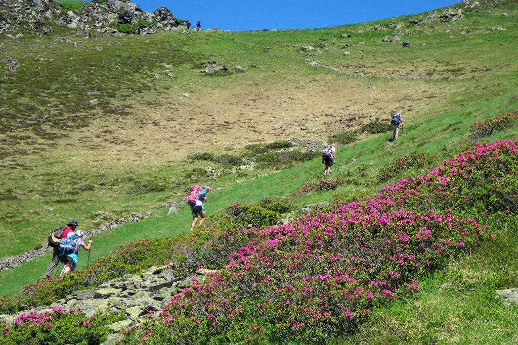 Groupe de randonneurs sur un sentier avec un guide pour un séjour de randonnée au pic de midi de Bigorre