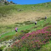 Groupe de randonneurs sur un sentier avec un guide pour un séjour de randonnée au pic de midi de Bigorre