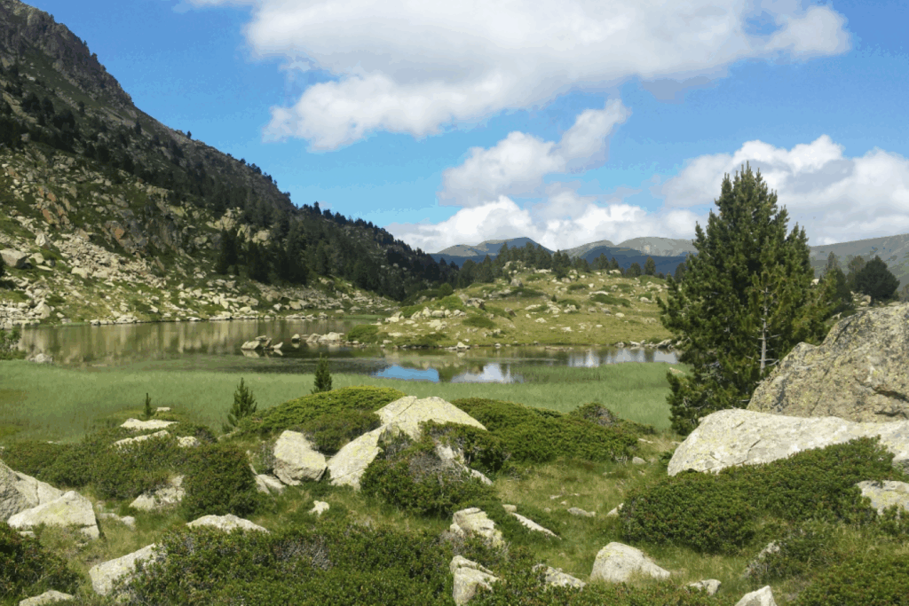 Paysage montagnard verdoyant avec un lac en arrière-plan, paysage andorran. Cette photo a été prise lors d'une randonnée en Andorre.