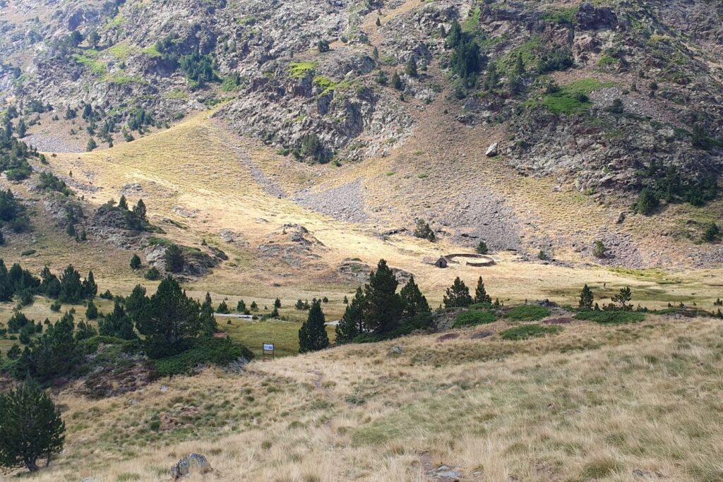 Aperçu d'une vallée aux couleurs d'herbe sèche avec des arbres verdoyants à travers l'espace.