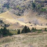 Aperçu d'une vallée aux couleurs d'herbe sèche avec des arbres verdoyants à travers l'espace.