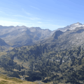 paysage montagneux avec forêt en contrebas et des montagnes enneigées