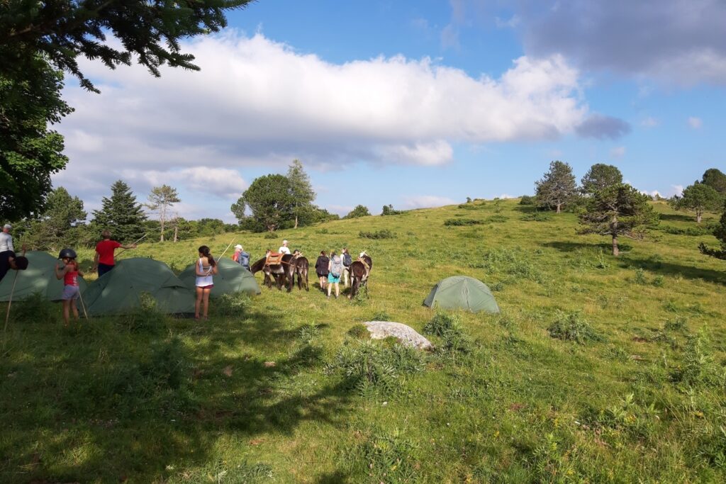 Paysage montagnard d'un camp en tente lors d'un séjour de randonnée en famille dans les Pyrénées.
