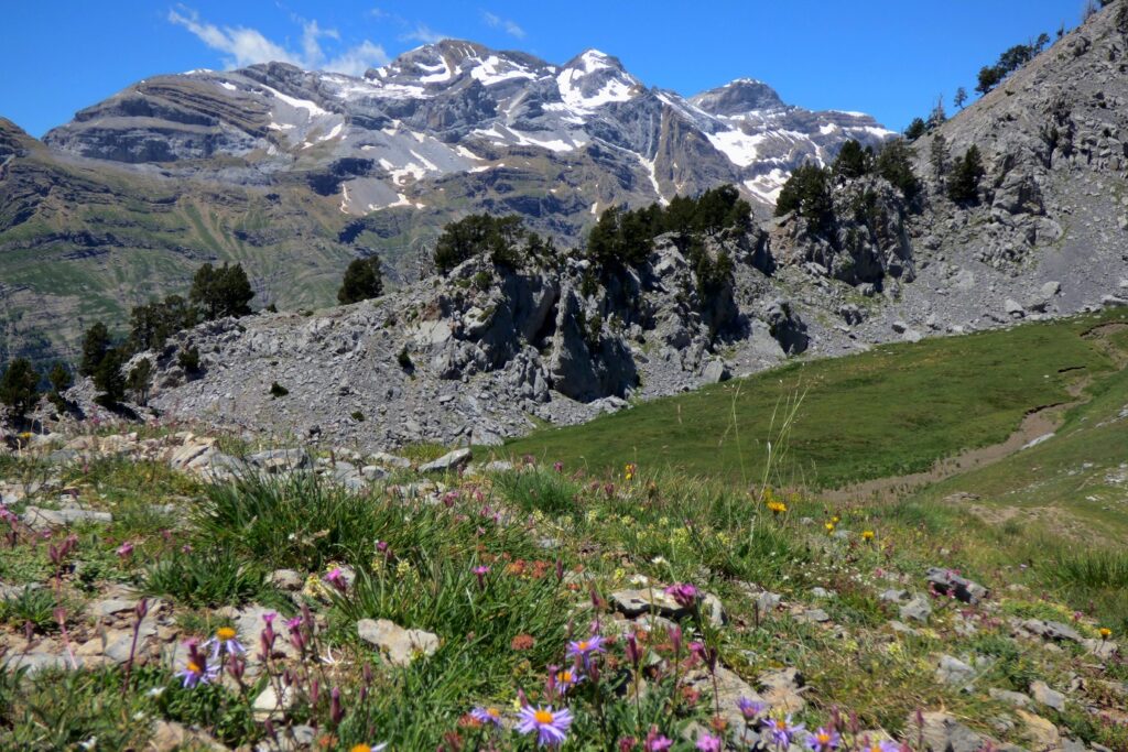 Paysage de montagne avec au premier plan une plaine et au second plan des sommets encore enneigés