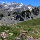 Paysage de montagne avec au premier plan une plaine et au second plan des sommets encore enneigés