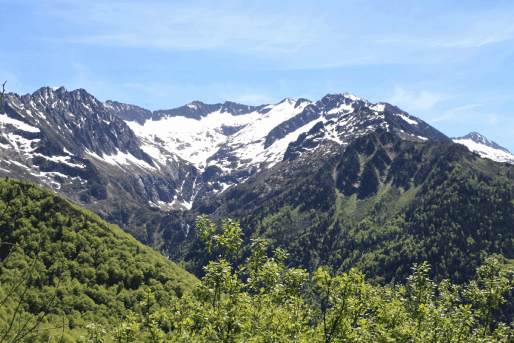 Paysage montagnard avec au premier plan des arbres et de la végétation et à l'arrière-plan les montagnes observées en face du point de vue qui sont alors couvertes de neiges.