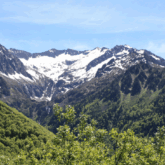 Paysage montagnard avec au premier plan des arbres et de la végétation et à l'arrière-plan les montagnes observées en face du point de vue qui sont alors couvertes de neiges.
