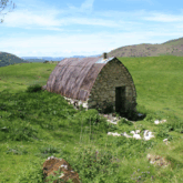 Paysage d'été dans les Pyrénées avec une cabane de berger faite de pierre, avec un toit caractéristique pointu et légèrement ovale, le tout dans une plaine verdoyante.