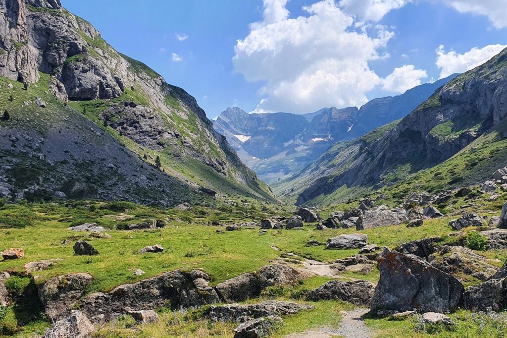 Paysage de montagne avec des roches et des étendues d'herbe