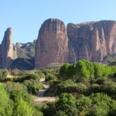 Paysage verdoyant avec des mallos de riglos en fond