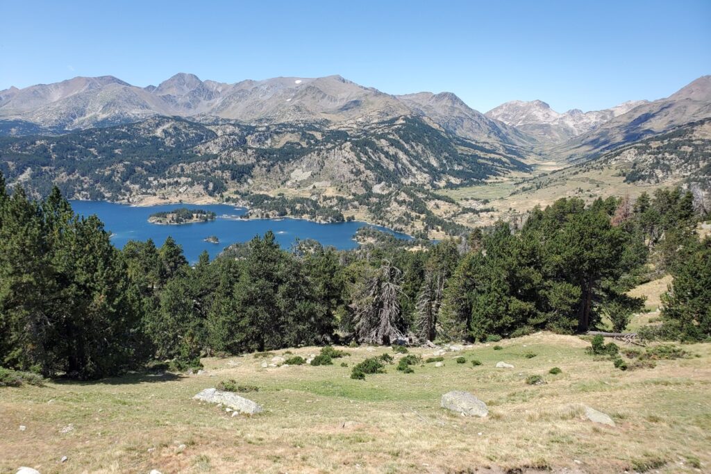 Paysage de montagne avec une forêt et au loin des sommets ainsi qu'un lac au pied de ces derniers