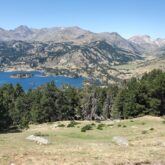 Paysage de montagne avec une forêt et au loin des sommets ainsi qu'un lac au pied de ces derniers