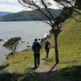 Randonneurs avançant sur un sentier côtier entouré de végétation lors d'une randonnée entre Collioure et Cadaques non accompagnés