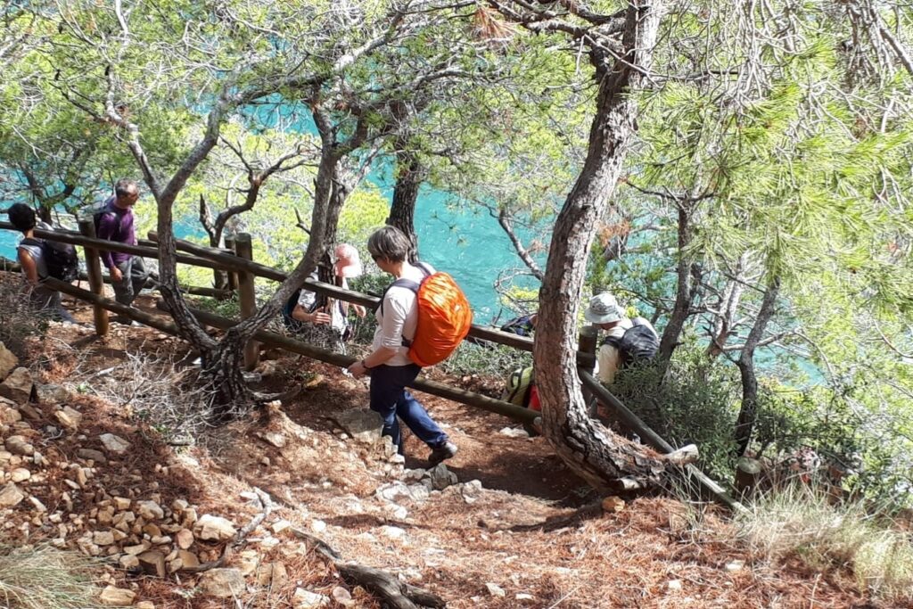 Groupe de marcheurs sur un sentier entouré d'arbres avec la mer en contrebas