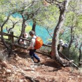 Groupe de marcheurs sur un sentier entouré d'arbres avec la mer en contrebas
