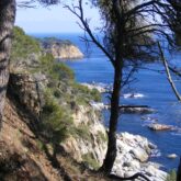 Paysage avec une prise de vue de haut, avec la mer en contrebas ainsi qu'un sentier côtier sur lequel les randonneurs marchent aux ours lors d'un séjour en itinérance en Costa Brava.