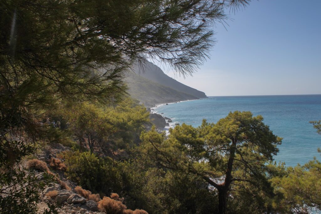Paysage de randonnée en bord de mer avec des arbres, prise de vue depuis un sentier sur les hauteurs
