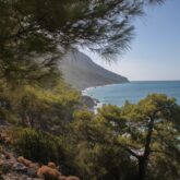 Paysage de randonnée en bord de mer avec des arbres, prise de vue depuis un sentier sur les hauteurs