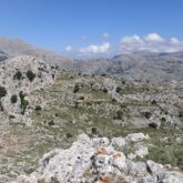 Paysage montagnard de Crète avec beaucoup de rochers ainsi que de la végétation diverse