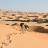 Désert de Mauritanie avec un groupe de personnes en randonnée