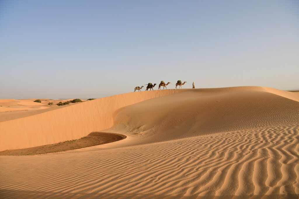 Désert de Mauritanie avec des dromadaires et leur maître