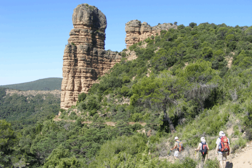 Groupe de marcheurs dans des endroits verdoyants en Sierra de Guara