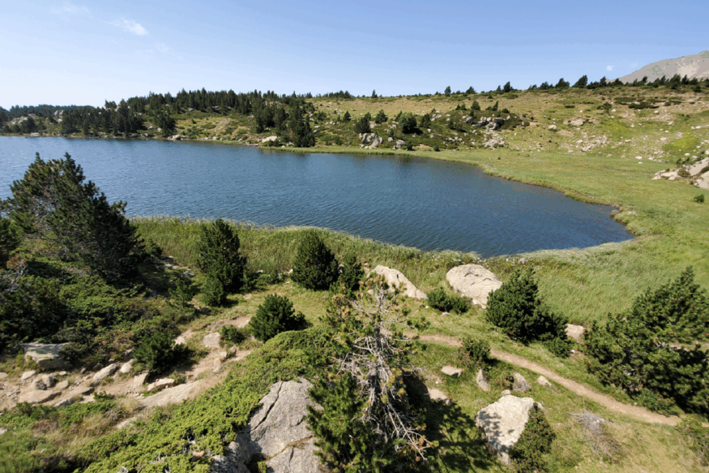 Paysage estival de montagne avec un lac en centre et des arbres de chaque côté.