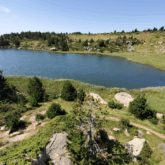 Paysage estival de montagne avec un lac en centre et des arbres de chaque côté.
