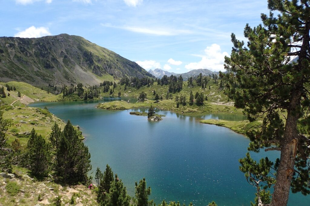Lac de montagne entouré d'arbres, paysage estival avec en fond des sommets
