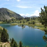 Lac de montagne entouré d'arbres, paysage estival avec en fond des sommets