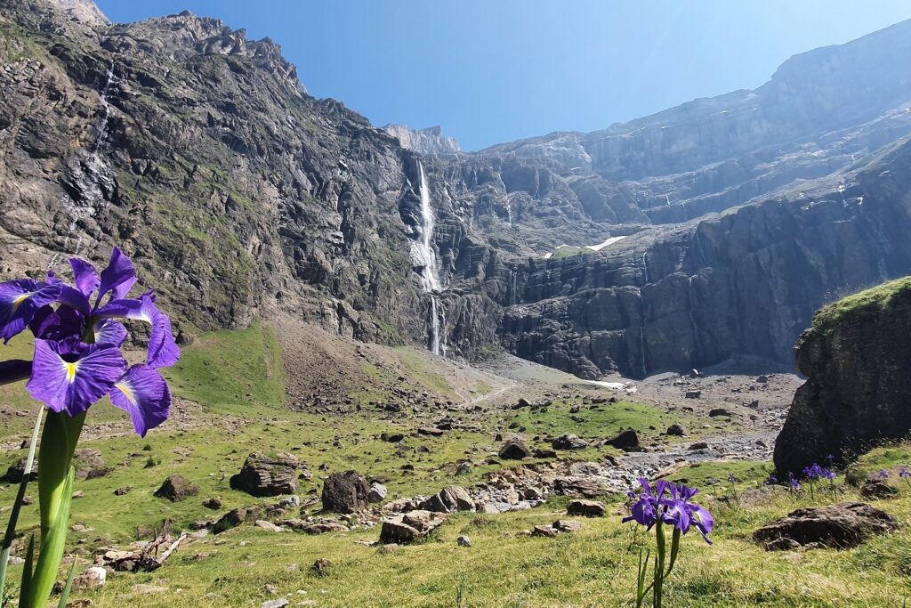 Cascade à Gavarnie avec des fleurs au premier plan