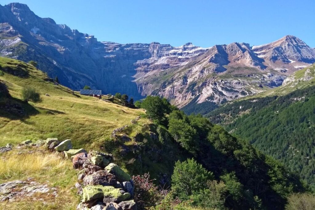 paysage d'une montagne avec une forêt à Gavarnie, avec en fond des montagnes