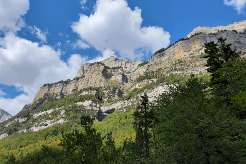 paysage avec une prise de vue par le bas d'une montagne, avec en bas une forêt verte
