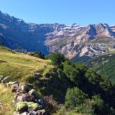 paysage d'une montagne avec une forêt à Gavarnie, avec en fond des montagnes
