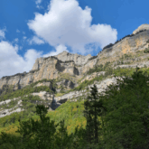 paysage avec une prise de vue par le bas d'une montagne, avec en bas une forêt verte
