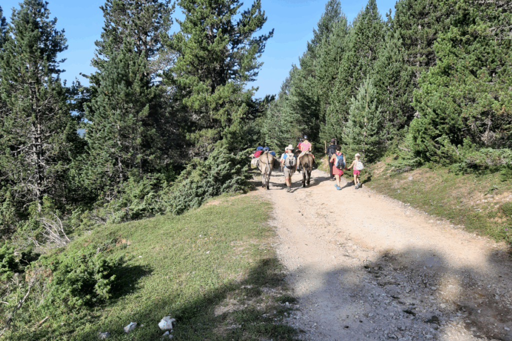 Groupe familiaux en train de faire une randonnée avec des ânes sur un chemin de montagne