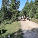 Groupe familiaux en train de faire une randonnée avec des ânes sur un chemin de montagne