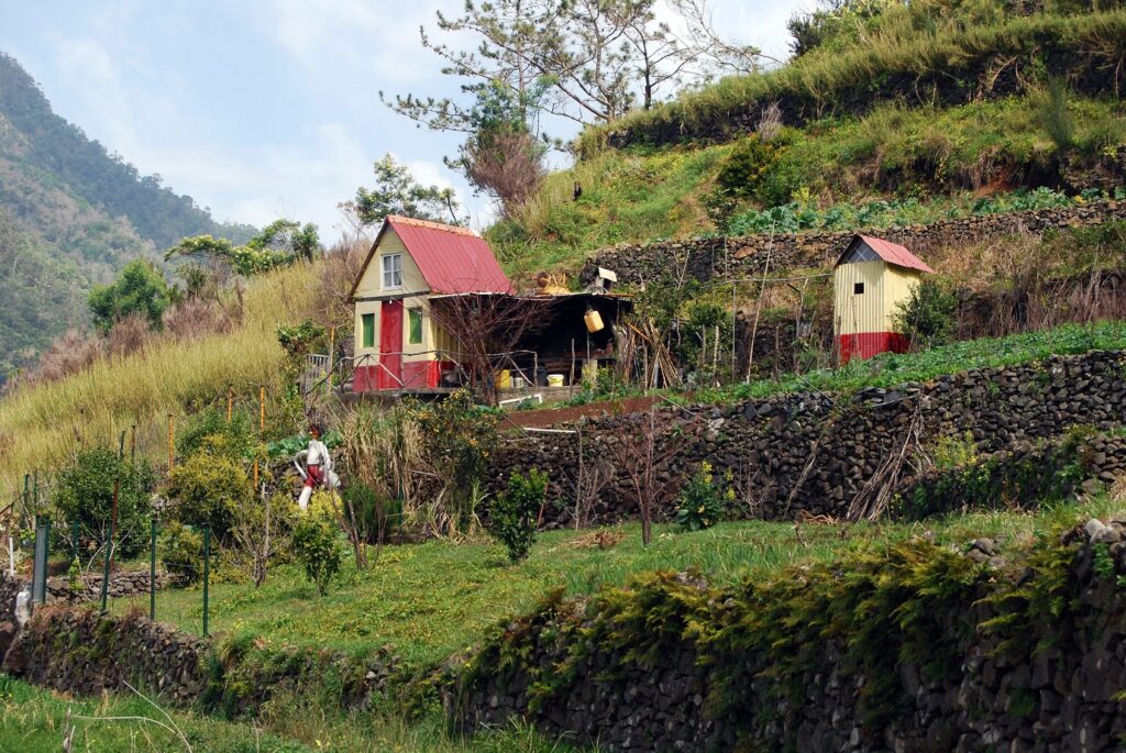 Paysage avec des habitations et constructions typiques de l'île de Madère