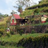 Paysage avec des habitations et constructions typiques de l'île de Madère