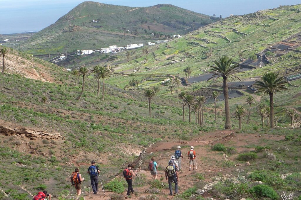 groupe de randonneurs sur un sentier dans les caries, sentier de terre encadré de palmiers et de montagnes au loin