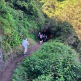 Groupe de randonneurs sur un sentier avec leur guide s'avançant dans une forêt à Madère
