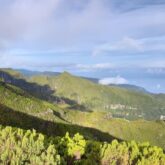 Paysage de montagne a Madère avec des sommets et de la végétation
