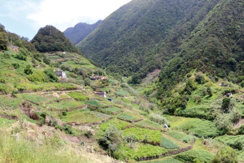 Paysage de montagne a Madère avec des sentiers a flanc de montagne et une vallée verdoyante