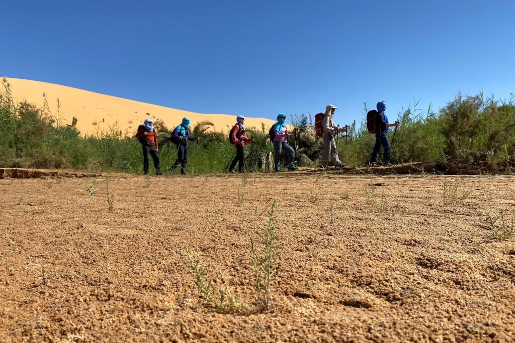 groupe de randonneurs sur un sentier avec leur guide en Mauritanie