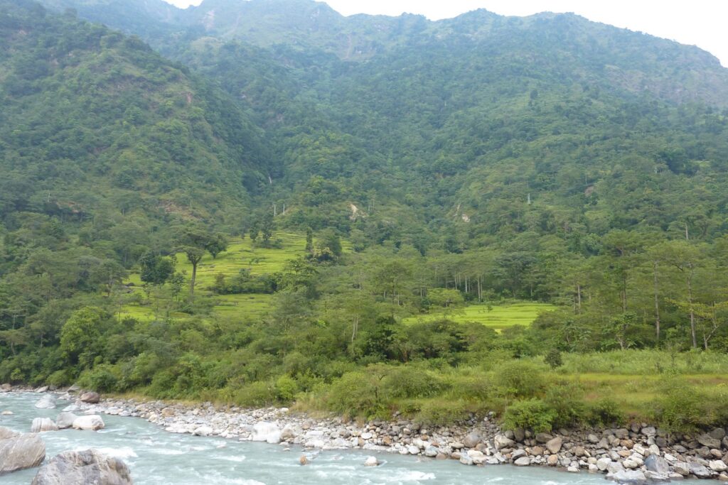 Paysage verdoyant avec de la végétation autour d'un courant d'eau