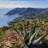 Point de vue en hauteur de la côte avec la végétation observée au cours de randonnées