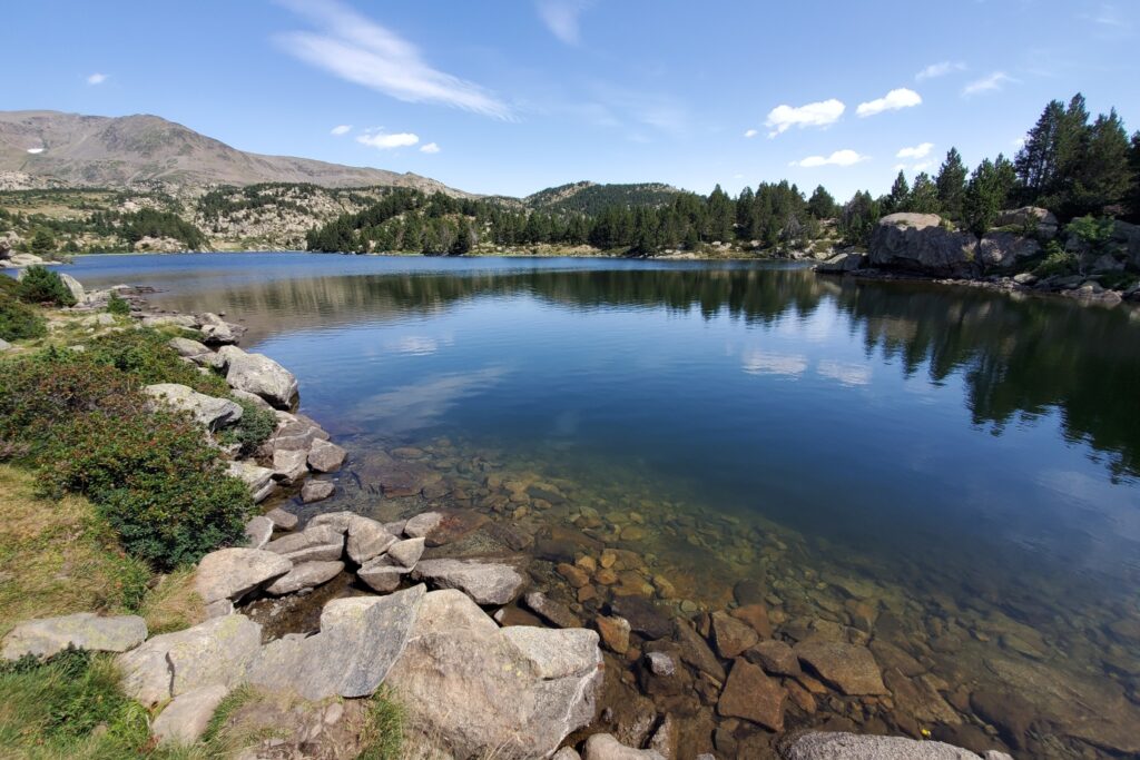 Berges d'un lac avec en fond une forêt et des sommets