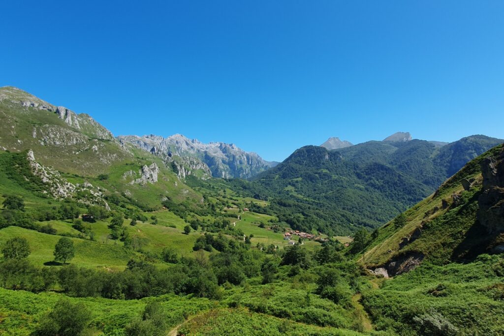 Plaine verte en été dans le décours des Picos de Europa